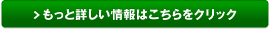 ジュンビー葉酸サプリ販売サイトへ